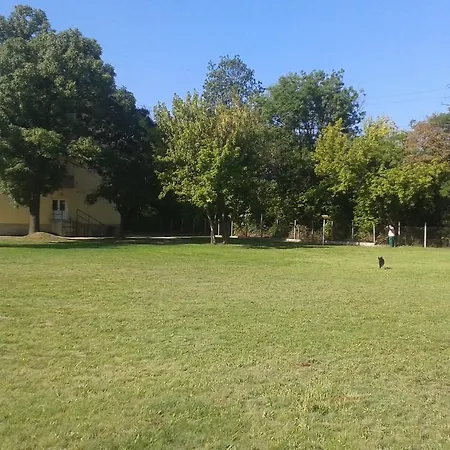 Fremon Munkasszallo Berente