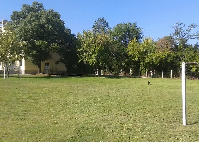 Fremon Munkasszallo Berente