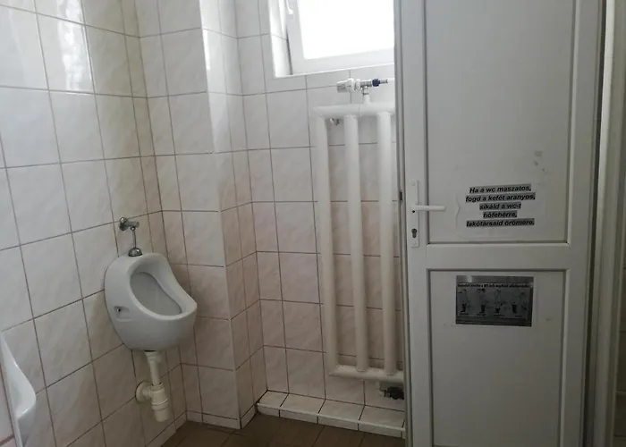 Fremon Munkasszallo Berente